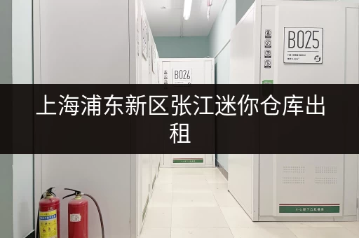 上海浦东新区张江迷你仓库出租，适合电商、家庭等各类储物