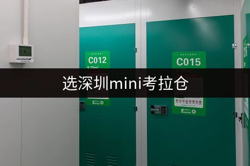 选深圳mini考拉仓，仓储配置严选，连锁经营超靠谱