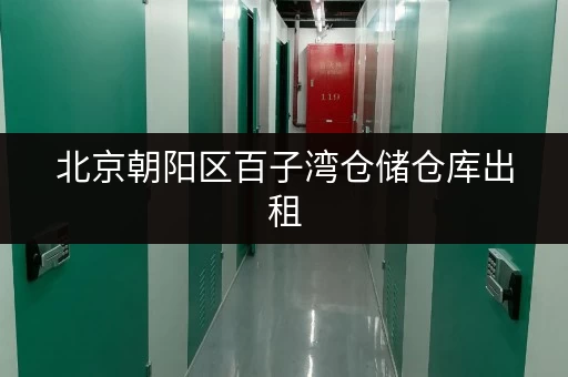 北京朝阳区百子湾仓储仓库出租，适合个人、企业各类存储