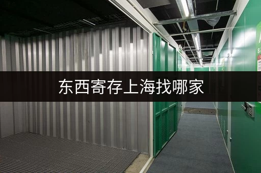 东西寄存上海找哪家,迷你考拉仓安全私密有保障 东西寄存上海找哪家,迷你考拉仓安全私密有保障
