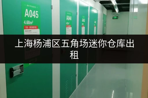 上海杨浦区五角场迷你仓库出租，小面积大用途，随时存取超方便