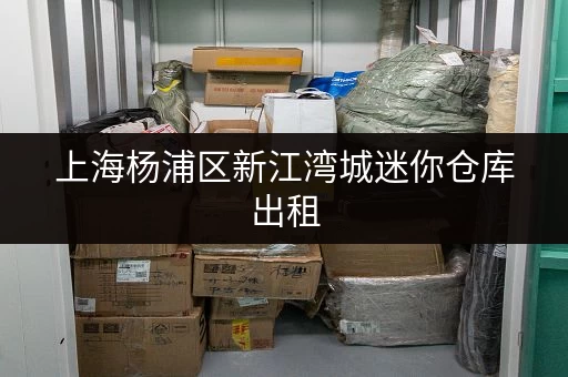 上海杨浦区新江湾城迷你仓库出租,满足多样存储需求 上海杨浦区新江湾城迷你仓库出租,满足多样存储需求