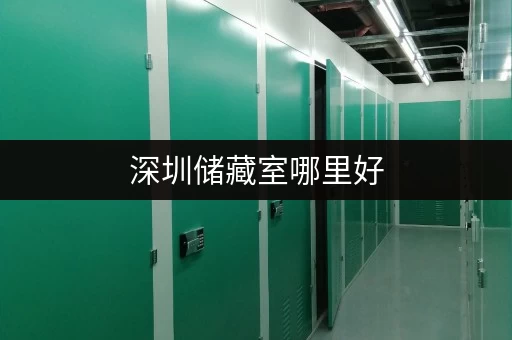 深圳储藏室哪里好，迷你考拉仓灵活租期等你来选