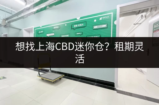 想找上海CBD迷你仓?租期灵活,满足个人企业存储需求 想找上海CBD迷你仓?租期灵活,满足个人企业存储需求