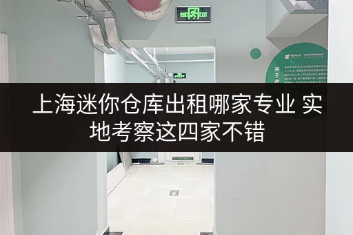 上海迷你仓库出租哪家专业 实地考察这四家不错