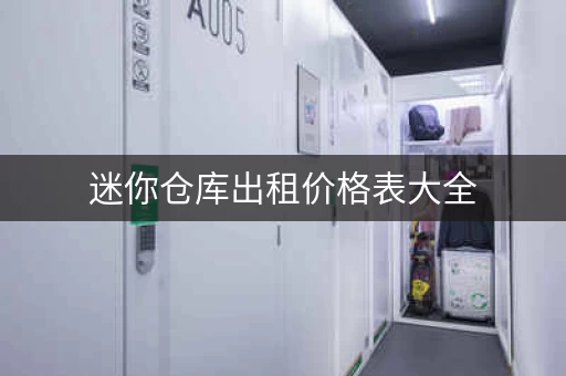 迷你仓库出租价格表大全，迷你仓储有市场吗