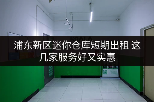 浦东新区迷你仓库短期出租 这几家服务好又实惠 浦东新区迷你仓库短期出租 这几家服务好又实惠