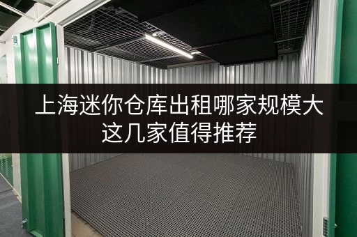 上海迷你仓库出租哪家规模大这几家值得推荐