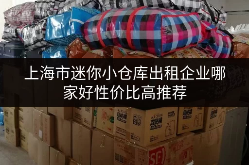 上海市迷你小仓库出租企业哪家好性价比高推荐