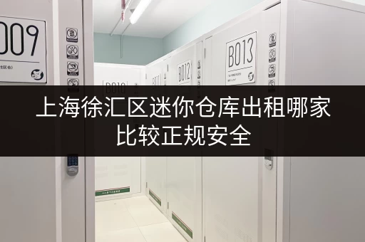 上海徐汇区迷你仓库出租哪家比较正规安全