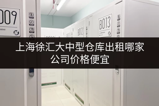 上海徐汇大中型仓库出租哪家公司价格便宜