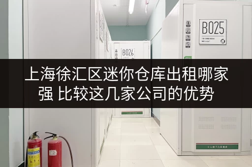 上海徐汇区迷你仓库出租哪家强 比较这几家公司的优势 上海徐汇区迷你仓库出租哪家强 比较这几家公司的优势