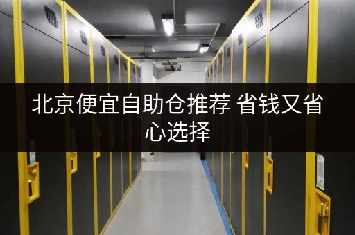 北京便宜自助仓推荐 省钱又省心选择 北京便宜自助仓推荐 省钱又省心选择