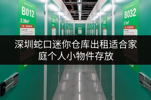 深圳蛇口迷你仓库出租适合家庭个人小物件存放