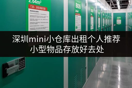 深圳mini小仓库出租个人推荐 小型物品存放好去处