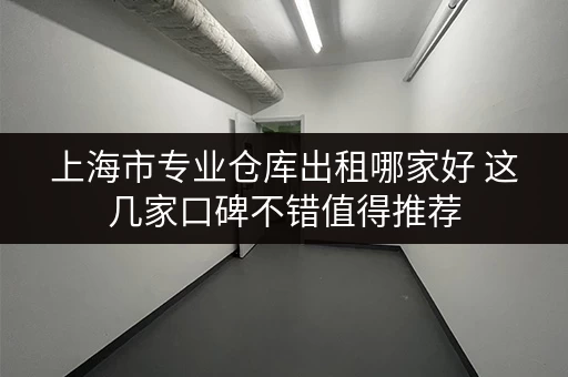 上海市专业仓库出租哪家好 这几家口碑不错值得推荐