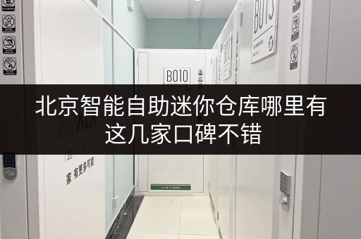 北京智能自助迷你仓库哪里有 这几家口碑不错