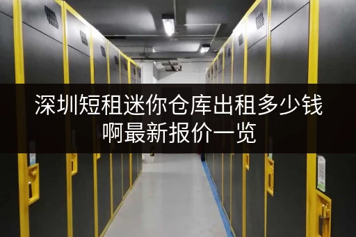 深圳短租迷你仓库出租多少钱啊最新报价一览