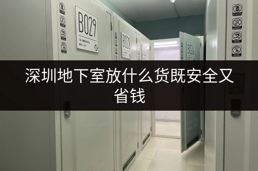 深圳地下室放什么货既安全又省钱 深圳地下室放什么货既安全又省钱