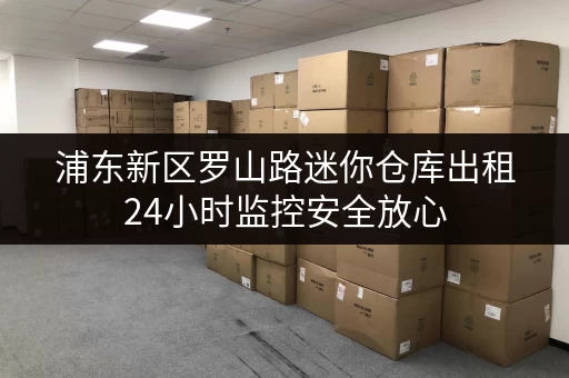 浦东新区罗山路迷你仓库出租24小时监控安全放心 浦东新区罗山路迷你仓库出租24小时监控安全放心