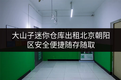大山子迷你仓库出租北京朝阳区安全便捷随存随取
