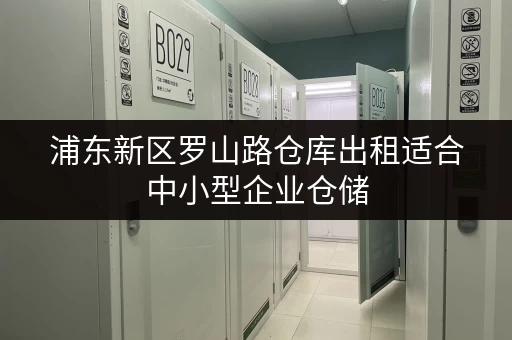 浦东新区罗山路仓库出租适合中小型企业仓储 浦东新区罗山路仓库出租适合中小型企业仓储