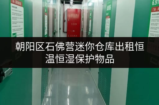 朝阳区石佛营迷你仓库出租恒温恒湿保护物品