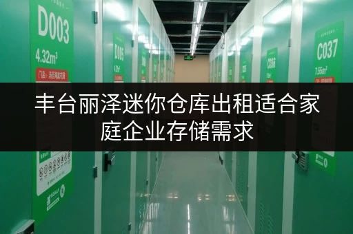 丰台丽泽迷你仓库出租适合家庭企业存储需求