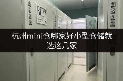 杭州mini仓哪家好小型仓储就选这几家 杭州mini仓哪家好小型仓储就选这几家