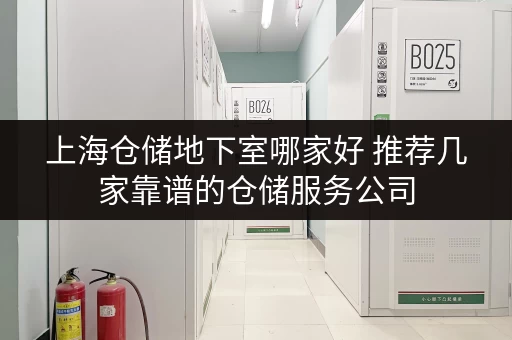 上海仓储地下室哪家好 推荐几家靠谱的仓储服务公司