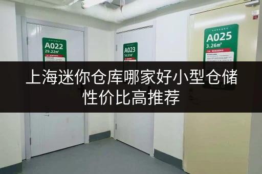上海迷你仓库哪家好小型仓储性价比高推荐 上海迷你仓库哪家好小型仓储性价比高推荐