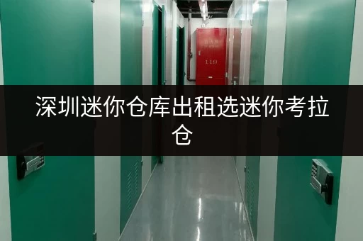 深圳迷你仓库出租选迷你考拉仓，就近存放心存