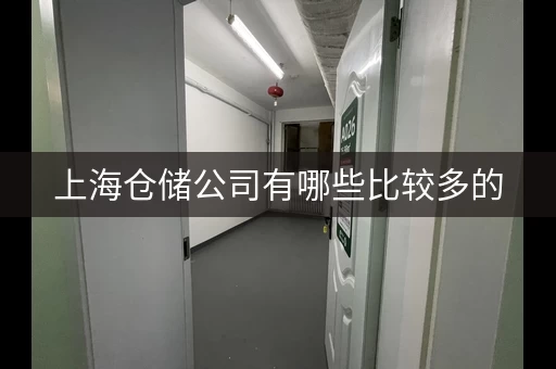 上海仓储公司有哪些比较多的，上海仓储服务公司