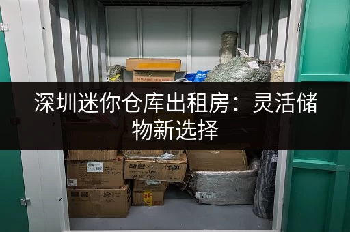 深圳迷你仓库出租房:灵活储物新选择,就近存取更安心 深圳迷你仓库出租房:灵活储物新选择,就近存取更安心