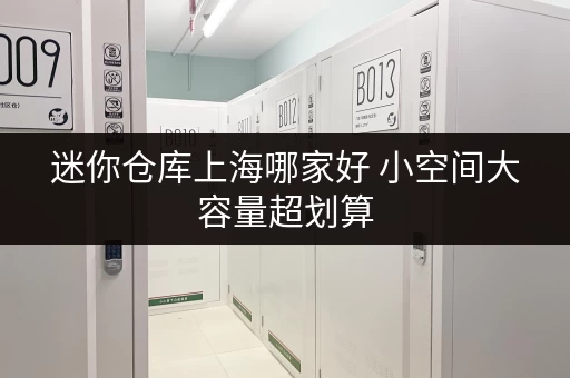 迷你仓库上海哪家好 小空间大容量超划算