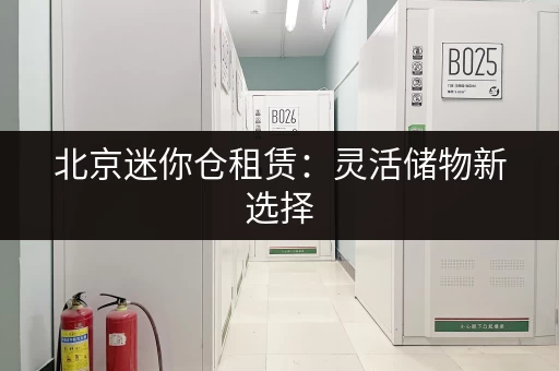 北京迷你仓租赁:灵活储物新选择,就近存取更省心 北京迷你仓租赁:灵活储物新选择,就近存取更省心