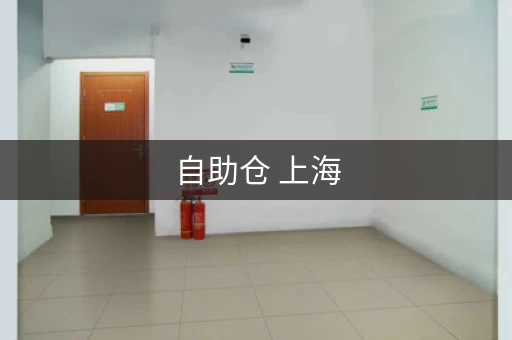 自助仓 上海，上海自助式仓储公司有哪些