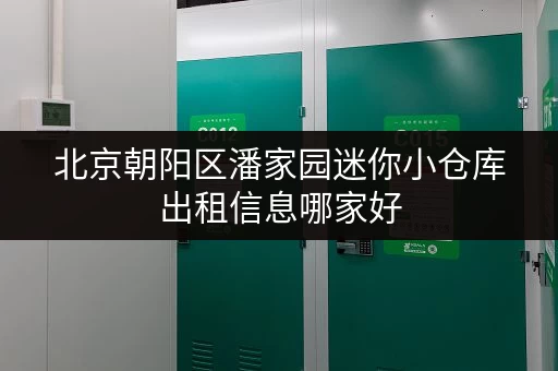 北京朝阳区潘家园迷你小仓库出租信息哪家好 北京朝阳区潘家园迷你小仓库出租信息哪家好