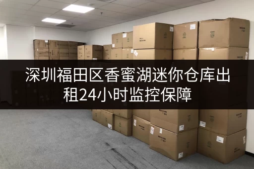 深圳福田区香蜜湖迷你仓库出租24小时监控保障 深圳福田区香蜜湖迷你仓库出租24小时监控保障