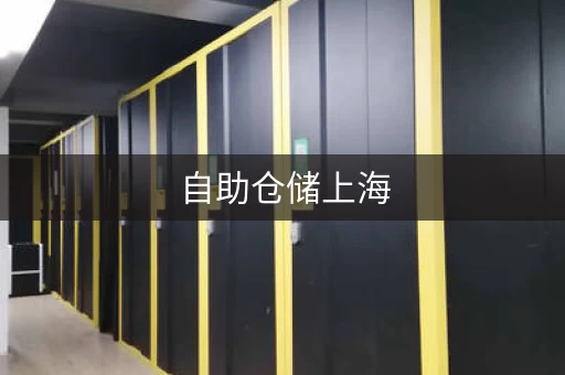 自助仓储上海，上海智能仓储