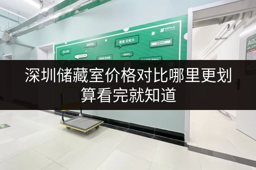 深圳储藏室价格对比哪里更划算看完就知道 深圳储藏室价格对比哪里更划算看完就知道