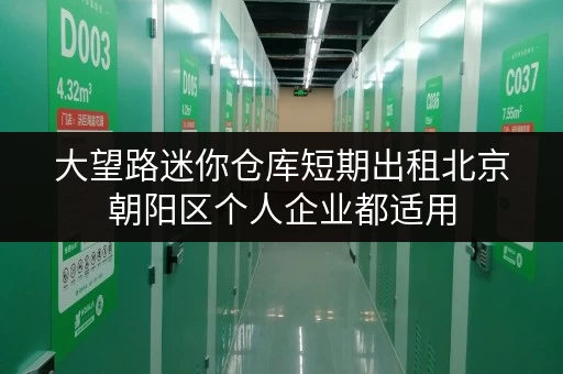 大望路迷你仓库短期出租北京朝阳区个人企业都适用 大望路迷你仓库短期出租北京朝阳区个人企业都适用
