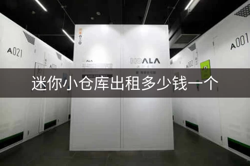 迷你小仓库出租多少钱一个，迷你仓小仓库出租