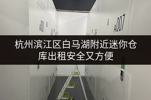 杭州滨江区白马湖附近迷你仓库出租安全又方便 杭州滨江区白马湖附近迷你仓库出租安全又方便