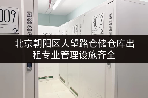 北京朝阳区大望路仓储仓库出租专业管理设施齐全 北京朝阳区大望路仓储仓库出租专业管理设施齐全