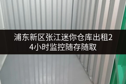 浦东新区张江迷你仓库出租24小时监控随存随取