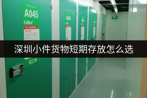 深圳小件货物短期存放怎么选