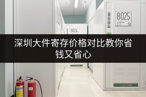 深圳大件寄存价格对比教你省钱又省心