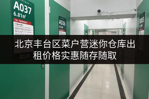 北京丰台区菜户营迷你仓库出租价格实惠随存随取 北京丰台区菜户营迷你仓库出租价格实惠随存随取