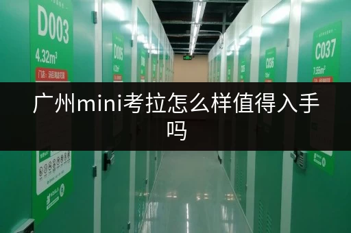 广州mini考拉怎么样值得入手吗 广州mini考拉怎么样值得入手吗